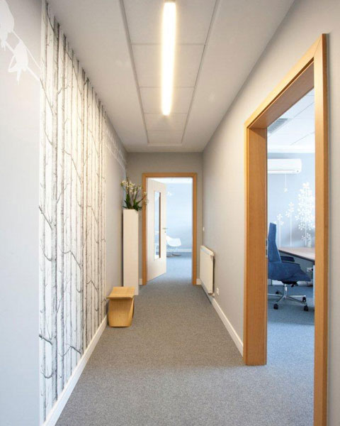 波兰Papstar办公室