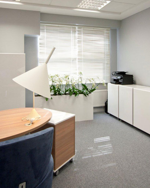 波兰Papstar办公室