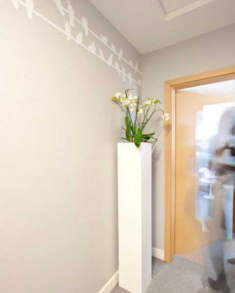 波兰Papstar办公室