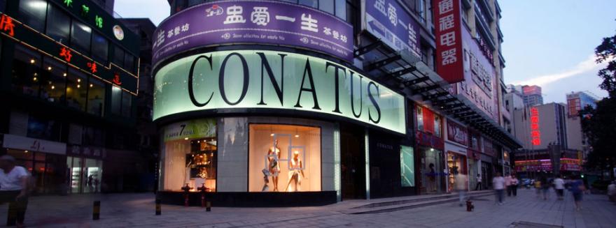 conatus