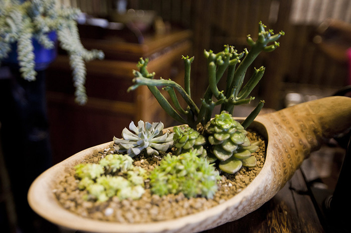 清友闲风品味禅茶文化